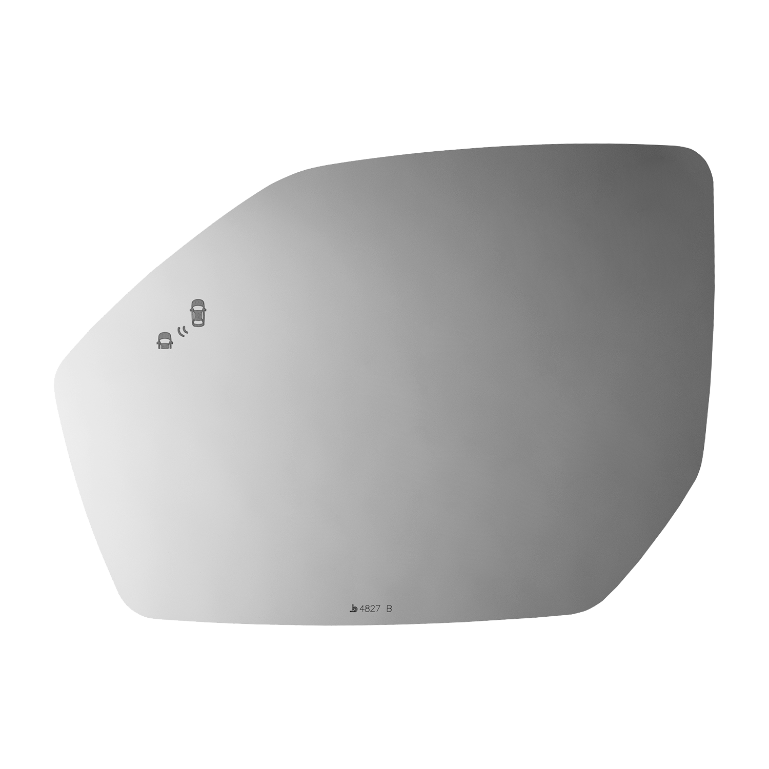 SIDE VIEW MIRROR W BLIND SPOT